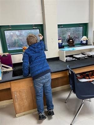 KIS Lego Club Zip Lines