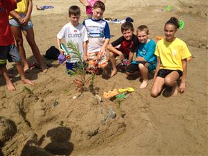 Sand Castle Contest Beach Day