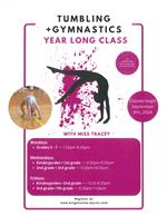 Tumbling Gymnastics 24