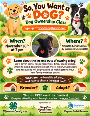 Dog Ownership Class